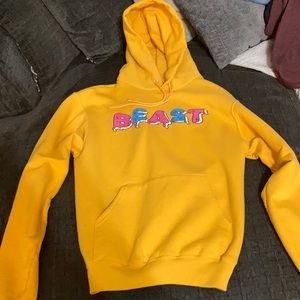 Mr. Beast Official Merch Frosted Beast Hoodie